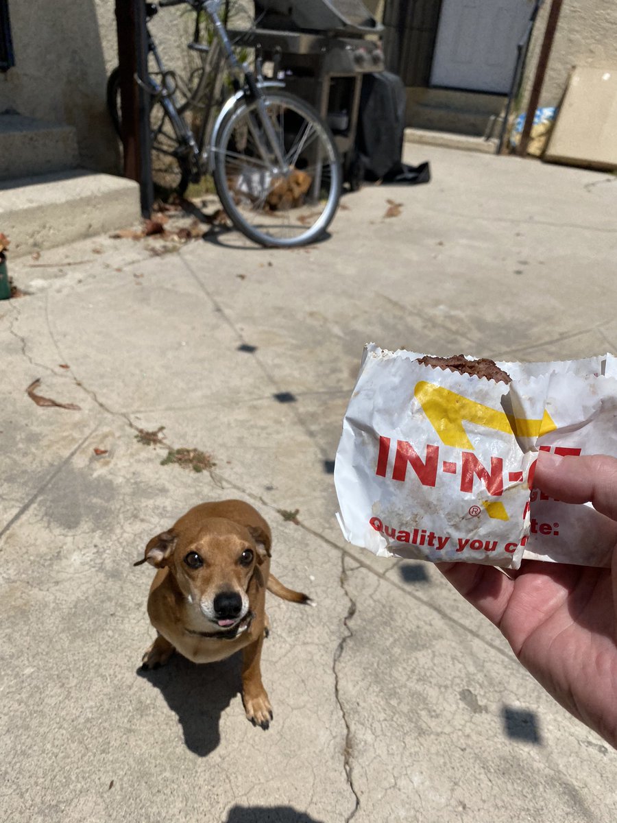 TweetCaliRob's tweet photo. Today we celebrated Harry’s 7th birthday with a very special treat from In-N-Out Burger 🍔 

Happy Birthday little man 🐶🎉🍔#TeamInNOut https://t.co/R4FyNdm88G