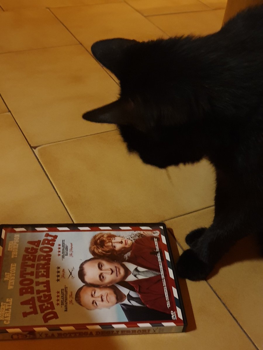 <a href="/robertcarlyle_/">Robert Carlyle</a> Ginger search rob