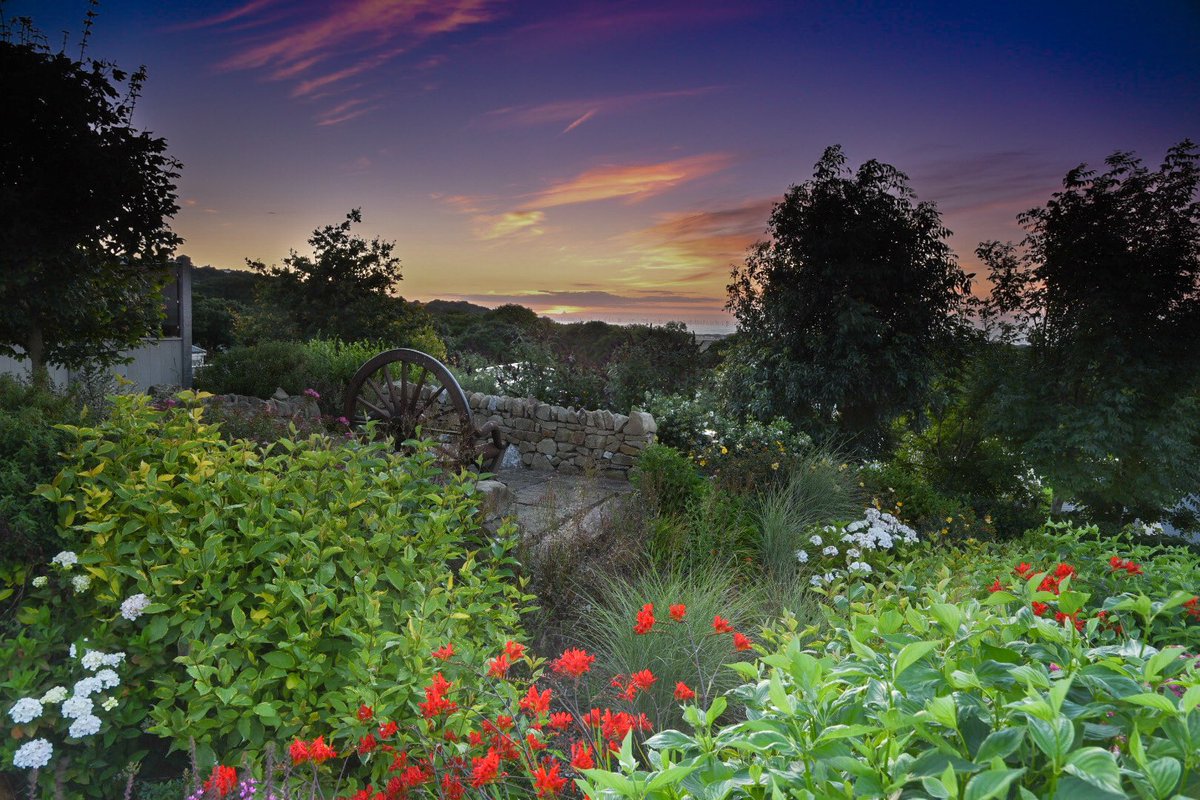 Tree Tops Caravan Pk tweet media