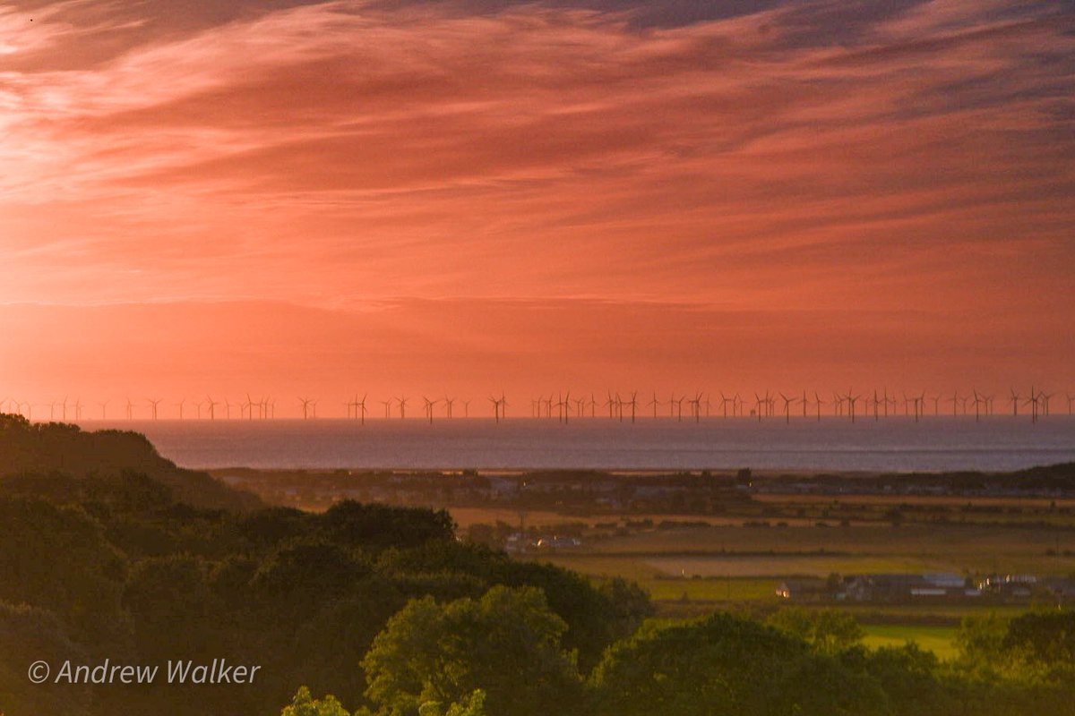 Tree Tops Caravan Pk tweet media