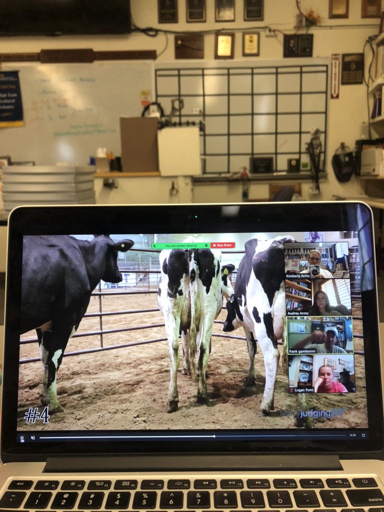 karntz15's tweet photo. @californiaffa continues to offer virtual experiences for students the pandemic! State convention, virtual awards &amp; contests! Tomorrow is the dairy judging state finals contest! Zooming today &amp; we will be online tomorrow morning judging dairy cows! @Petk12schools @PetalumaHS https://t.co/pm9xYkbjAD