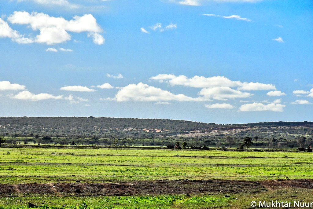 HusseinidowAli's tweet photo. #Goob_Weyn,  #Somalia 

📷 @MukhtarNuur https://t.co/vyhMrLsxZf