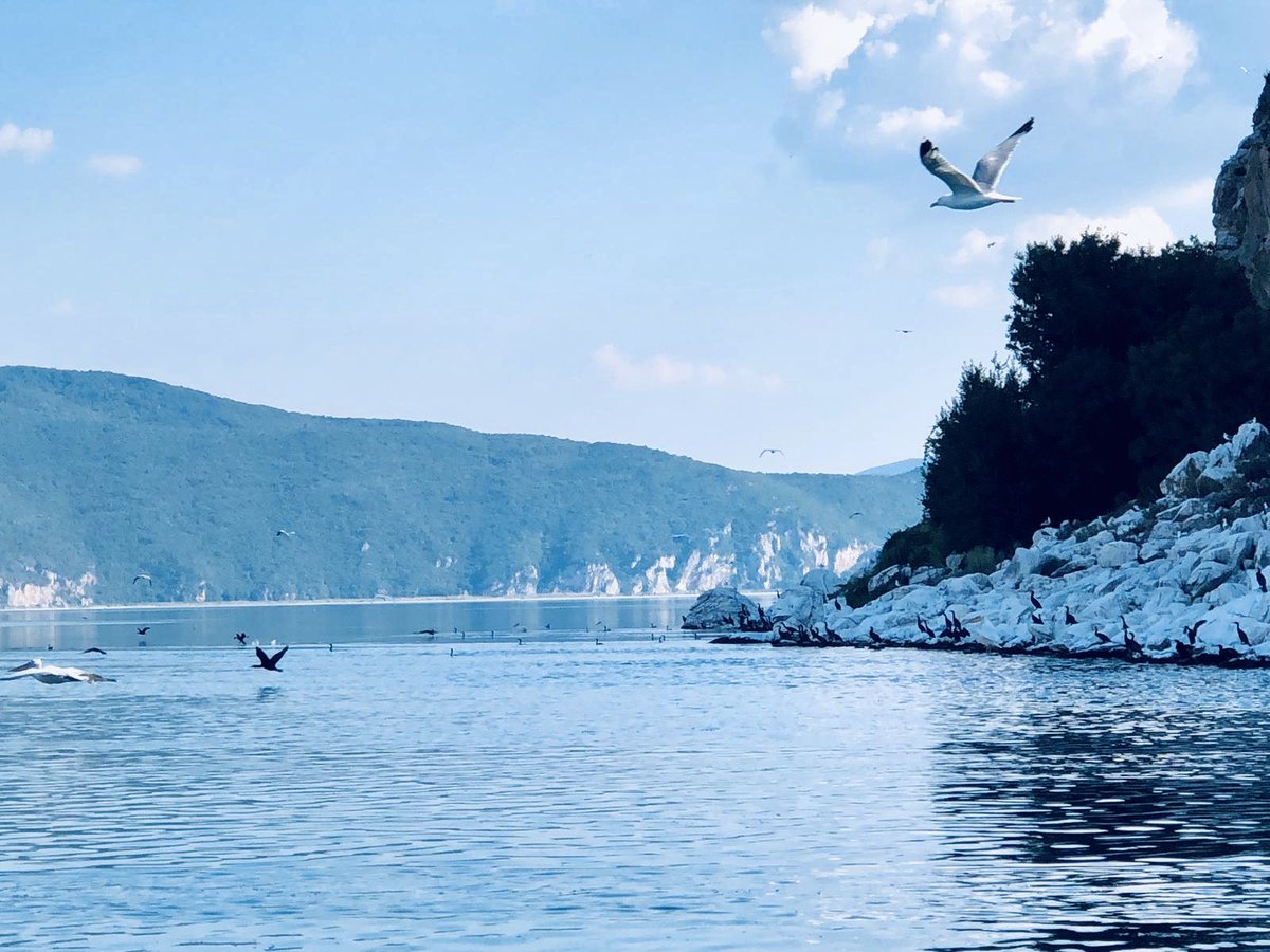 ОСТРОВОТ НА КОЈ ЦАРУВААТ ЖИВОТНИТЕ

Каква мистичност носи најголемиот остров кој го има Македонија?
Ова нобично место, оддалечено и од старите и од модерните комуникации, покажува една друга хронологија на престојувањето на луѓето во овој регион.

nomansland.info/ostrovot-na-ko…