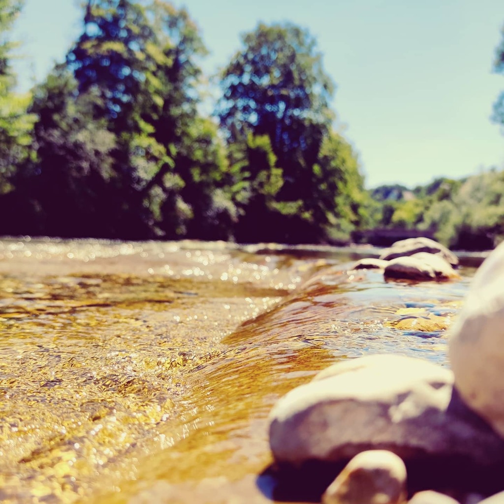 CharlyVandv's tweet photo. L'#eau de source la plus claire fait aussi de la boue 💧🌊💧
#savoie #entredeuxguiers #chartreuse #AuvergneRhôneAlpes #water #nature #river #wood #outdoors #fall #landscape #lesechelles #grenoble @savoiemontblanc #voiron #guiers #rock #summer2020☀️ #tree #leaf #wet #sky #boulde… https://t.co/XVhfpxSWTu