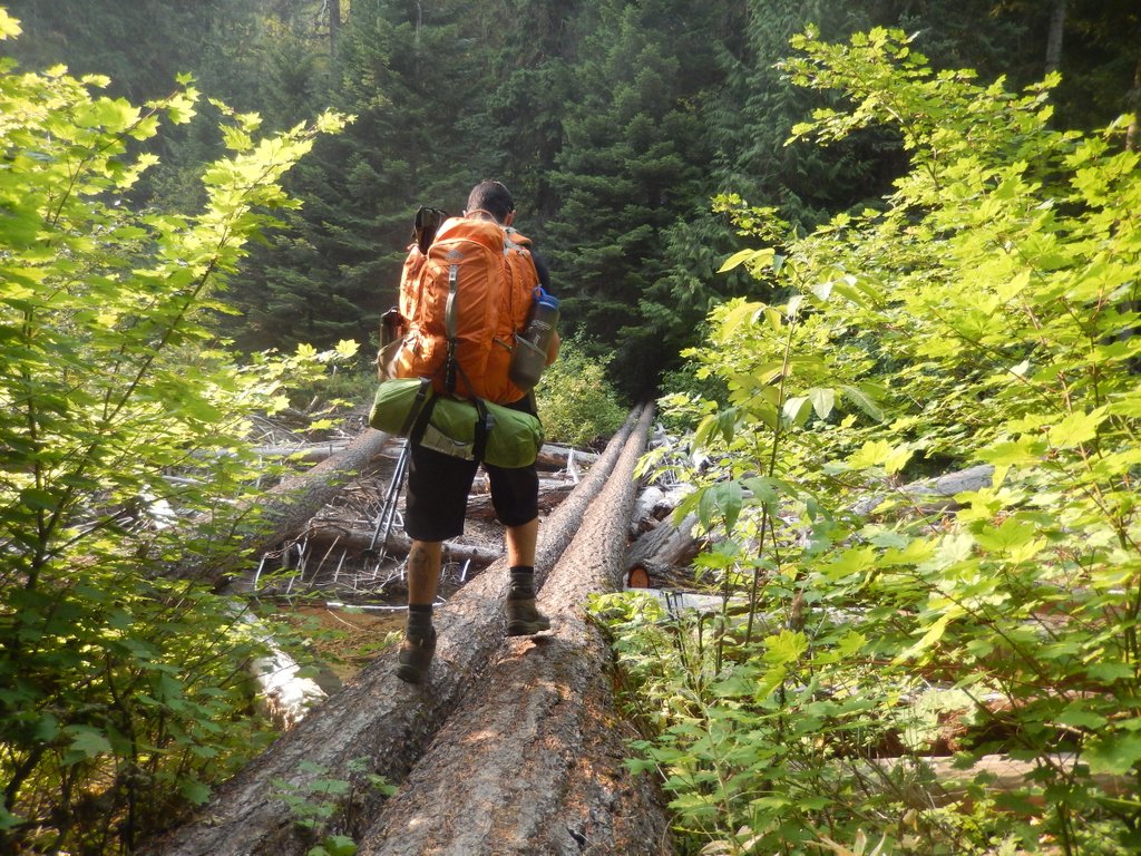 Hiker_Steve's tweet photo. This week I'll be showcasing Heather Trail, Manning Park, BC
#beautifulbc #explorebc #britishcolumbia #hellobc #bc #vancouvercanada #travelbc #vancouverbc #explorecanada #sharebc #outdoorvancouver #604now #westcoastbestcoast
#Vancouvertrails https://t.co/igQv0U3fov
