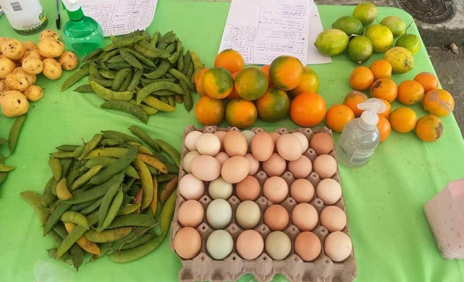 ICCOLatam's tweet photo. Nuestras socias de la Asociación Renacer en Sibundoy, con todos los implementos de bioseguridad, comercializan los productos cosechados en sus chagras en Mercados Campesinos, mientras fortalecen sus ingresos y la seguridad alimentaria local, en el marco del proyecto #RuralPaz https://t.co/H0UlZWK68C