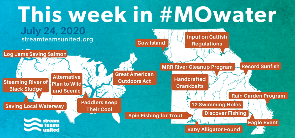 mostreamteam's tweet photo. Here's this week's #Mowater News! https://t.co/oSZJw8dUrq
As part of Watershed Celebration weekend, today is "post a photo of your Stream Team Day" on social media, and use the hashtag #MoStreamTeam.
My Stream Teams #728 (Stream Teams United) and #3184 (Wading for Mayflies)! https://t.co/g2csjJi99S