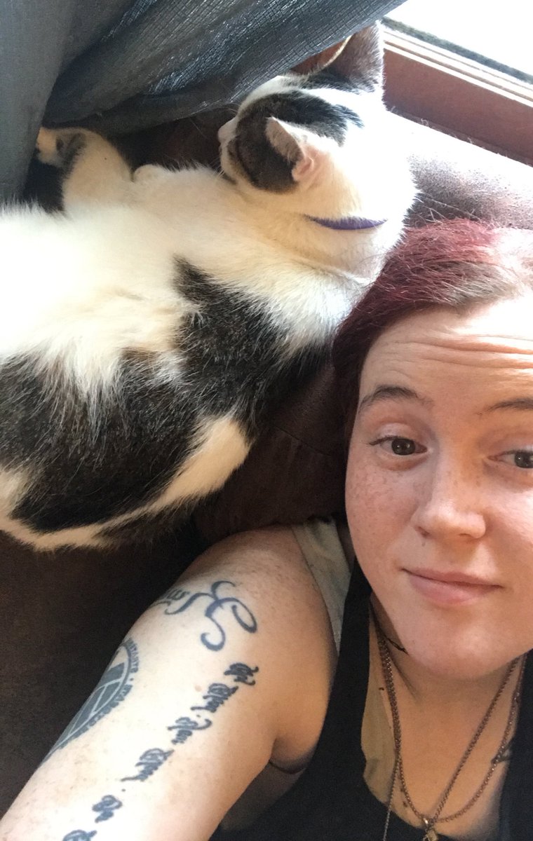 hiaparker's tweet photo. I say “What are you doing? Nothin. Get a job Cat.” At least once a day, thank you @threadbanger for your Cherpumple video and for letting me rib on this lazy catto. #threadbanger #cat #kitty https://t.co/wAoNvi7ght