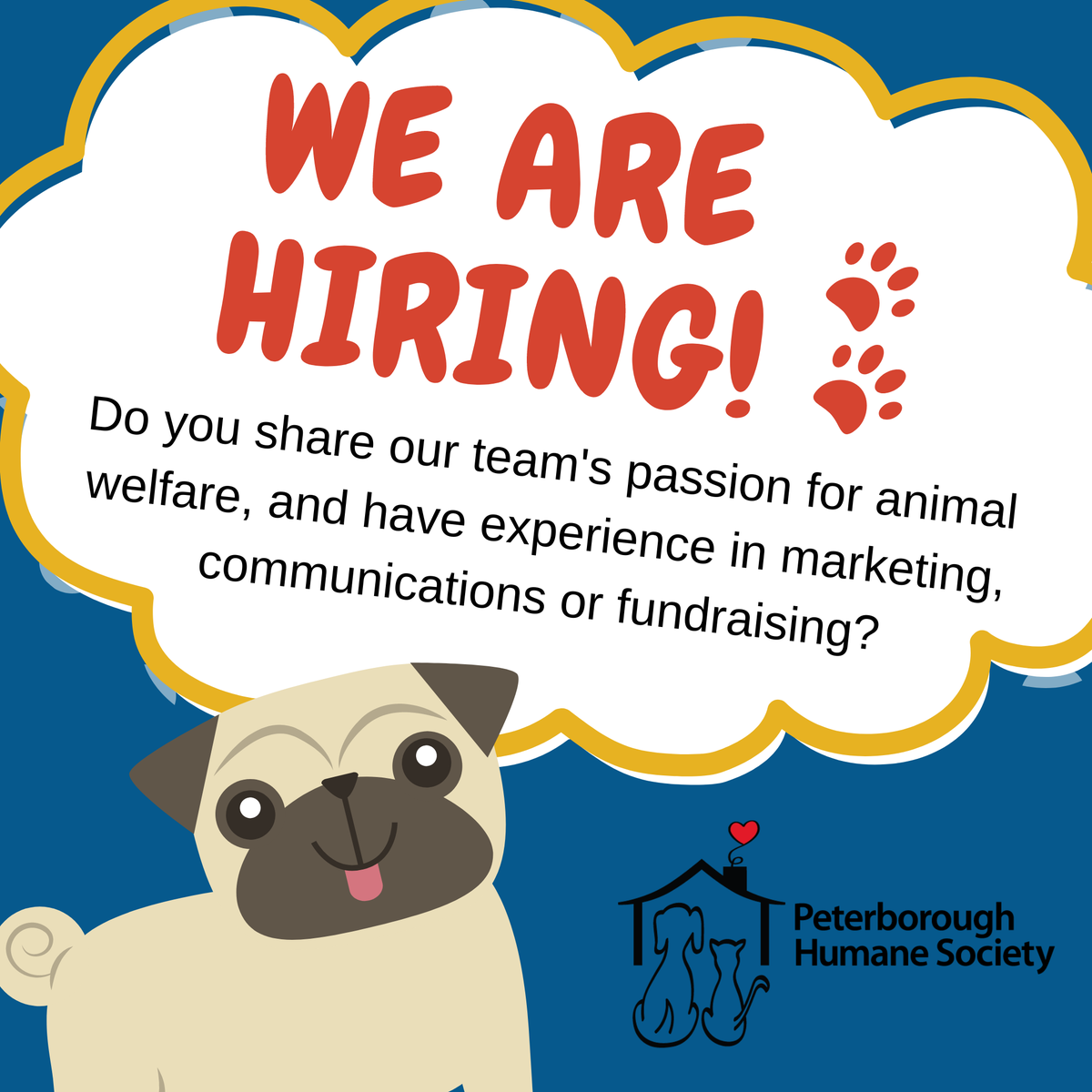 HSpeterborough's tweet photo. We are looking for the newest member of our team. Please visit https://t.co/nqNWv3erf1  to apply for the full-time role of Communications &amp; Development Coordinator. https://t.co/sWvLpGOPKl