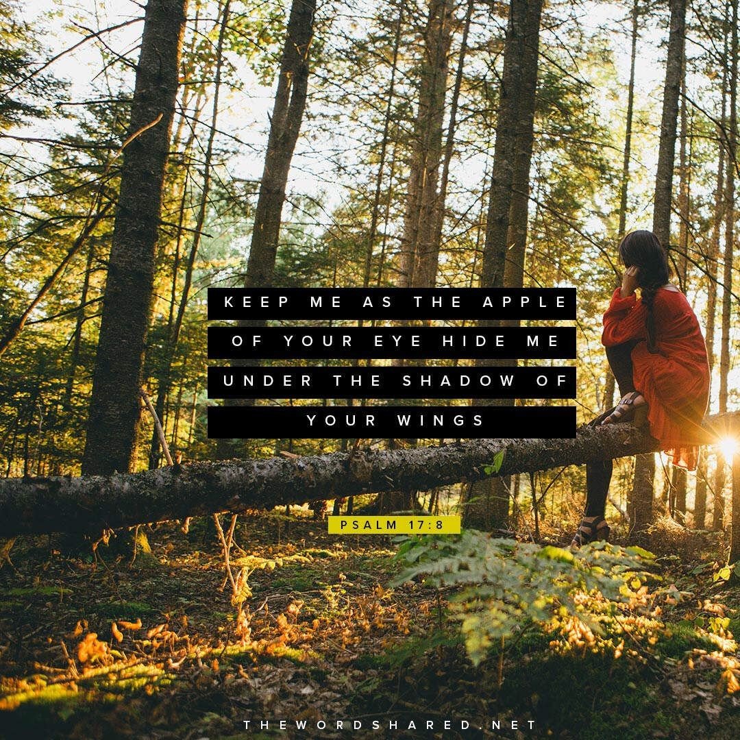 TheWordShared's tweet photo. You are the apple of God’s eye! #Psalms 17:8  #GoodNews #Wisdom #Inspiration #TheWordShared #WordofGod #Bible #Scripture #BibleVerse #GoodNews #Faith #TeamJesus https://t.co/1PhFmWc28s