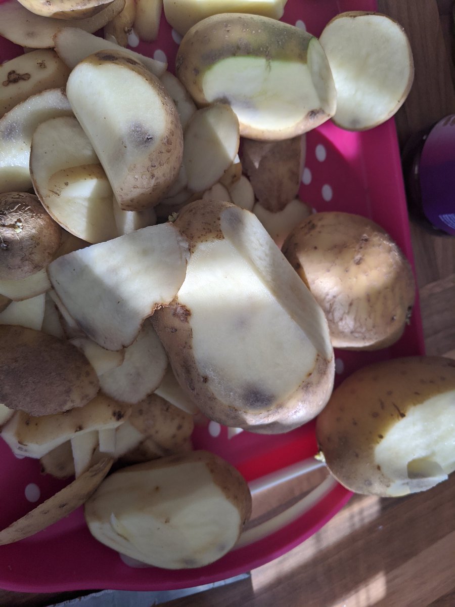 a4tsi's tweet photo. @Tesco Nice potatoes. What am I supposed to do with these? https://t.co/Cw2pdteJ5y