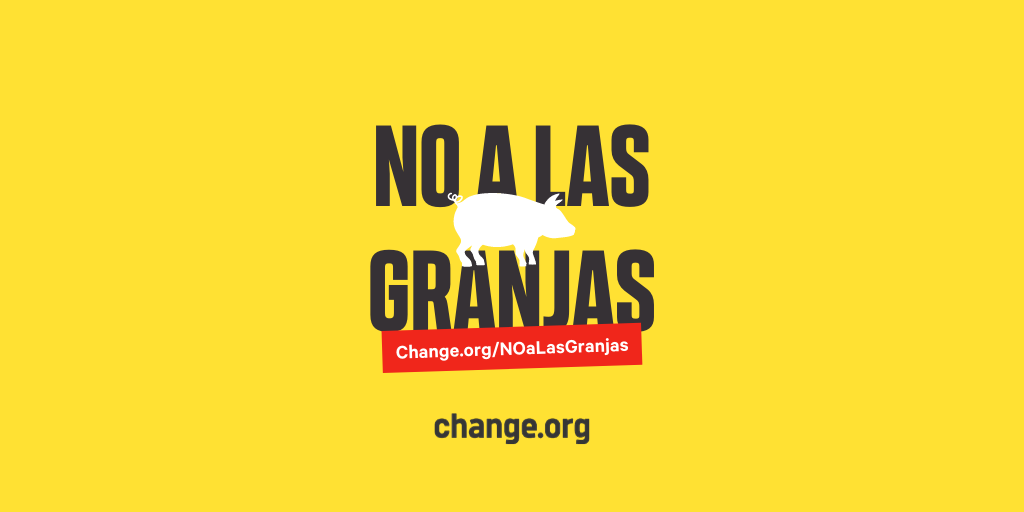 ChangeorgAR's tweet photo. 🐖 NO a las Granjas 🐖 Luz inició una petición para pedir al gobierno que de marcha atrás con el acuerdo con #China que consiste pasar de producir unos 6/7 millones de cerdos a 700 millones por año. https://t.co/tRjBAgNmGn