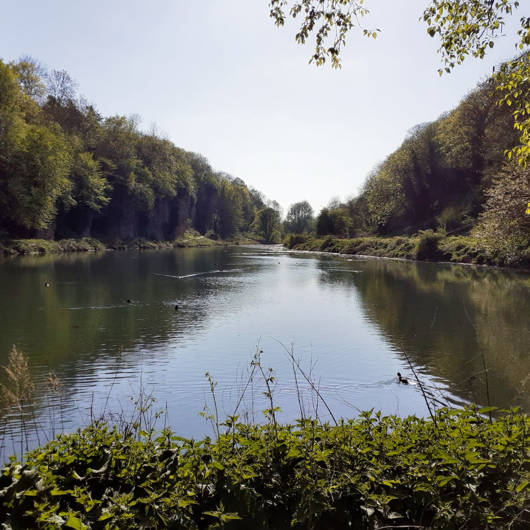 CreswellCrags's tweet photo. We will be open from 10am on Sat 1 Aug!
For now, our car park remains closed, there are no facilities on site. You can walk through the gorge from Creswell, but we ask you not to drive to visit us. Please wait a week, come when the car park is open! 👍
#OpenForBusinessSoon https://t.co/3b8kOyykJb