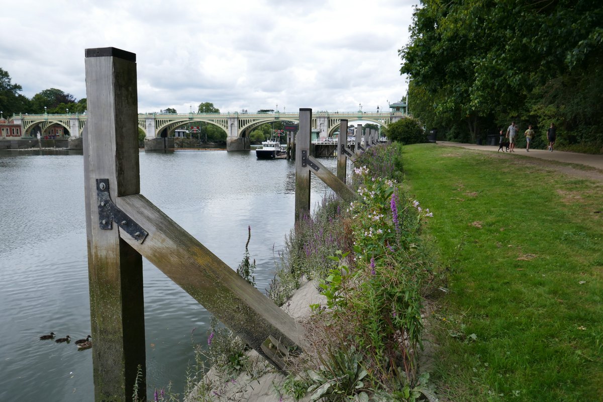 adamclittle's tweet photo. #richmondlockandfootbridge today. #richmond #thamespathNT #LUMIX https://t.co/quCGRkBE1R