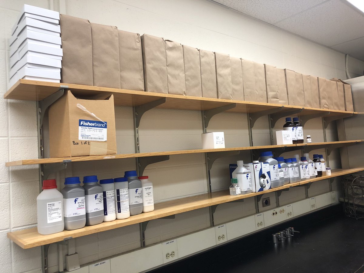The Smith Lab at Duke is finally becoming operational amidst the pandemic with our first delivery of lab equipment arriving today🧪🧬🧫! Baby steps for now, but soon to be running! 👶🏼👉🏻🏃🏼‍♀️ <a href="/TassieClare/">Smith</a>