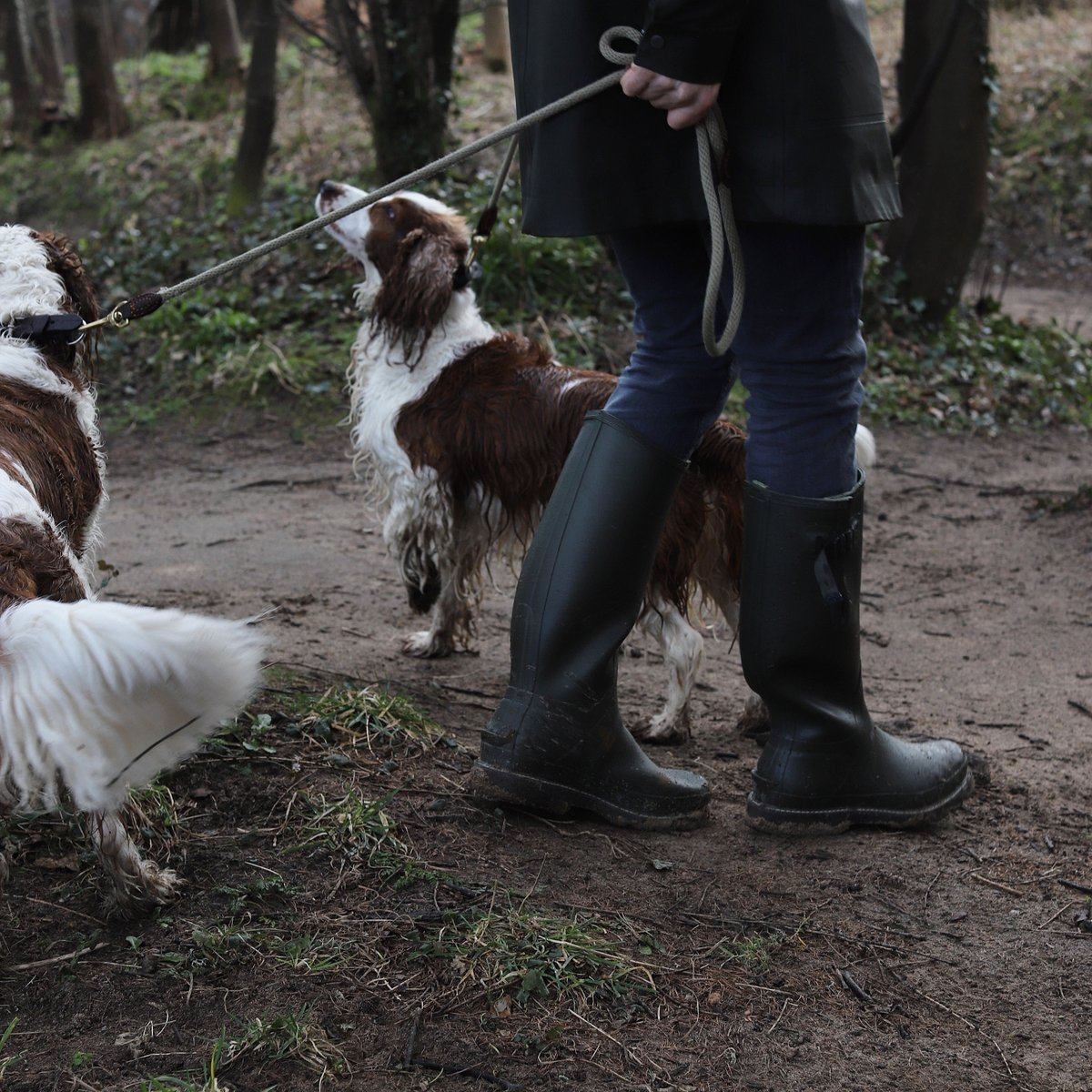 The Craigellachie is perfectly situated for a number of outdoor activities and pursuits. From walking the <a href="/SpeysidewayOrg/">Speyside Way</a>, to wild salmon fishing with the local Ghillie, our team can help you plan your next adventure.

Call us on 01340 881 204 to find out more.