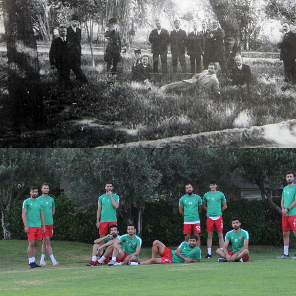 Yine bir zeytin ağacının altında...