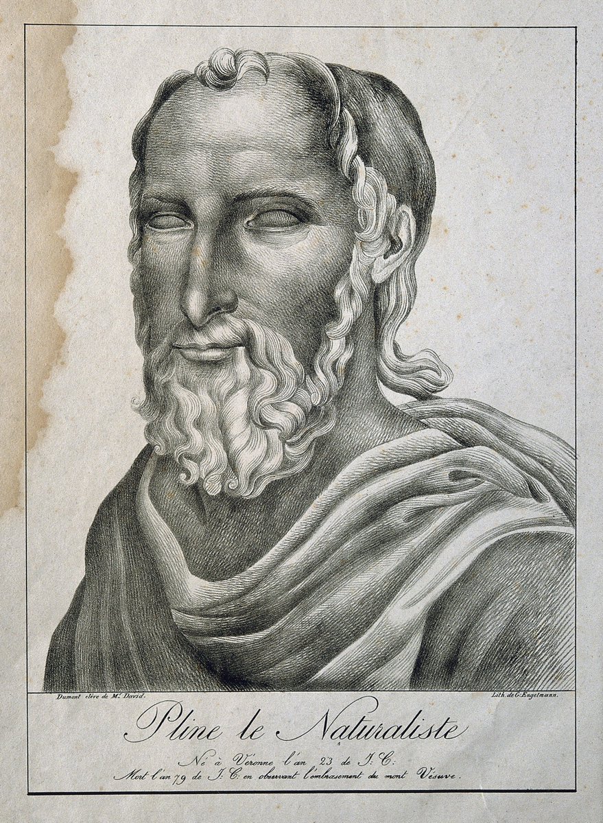 Face coverings as a way of protecting respiratory health go back at least 2,000 years. The Roman philosopher Pliny the Elder used animal-bladder skins as masks to filter dust from toxic minerals used at the time for pigmentation in decorations.  #facecoverings