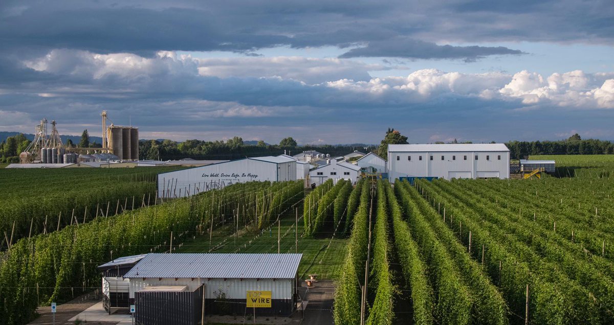 Nearly two years in the making, Crosby Hop Farm opens TopWire Hop Project, its new outdoor open-air beer garden, today at 11:00am. Info: brewpublic.com/beer-news/topw… #topwire #crosbyhopfarm
