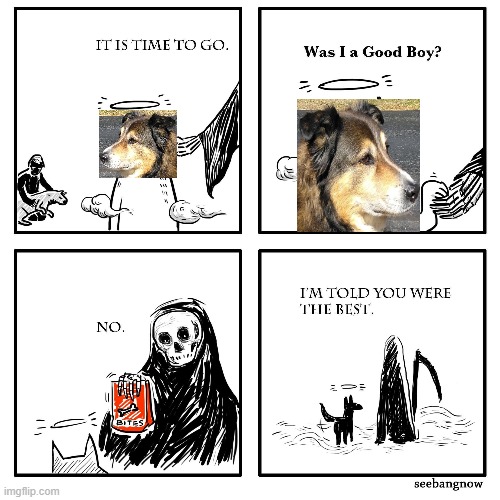 𝔹𝟜𝕃𝔼 🐙🍵💭 tweet media