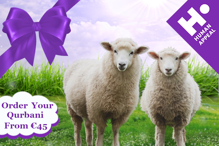 Human Appeal Ireland tweet media