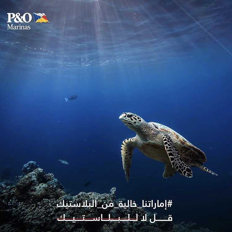 PnO Marinas tweet media