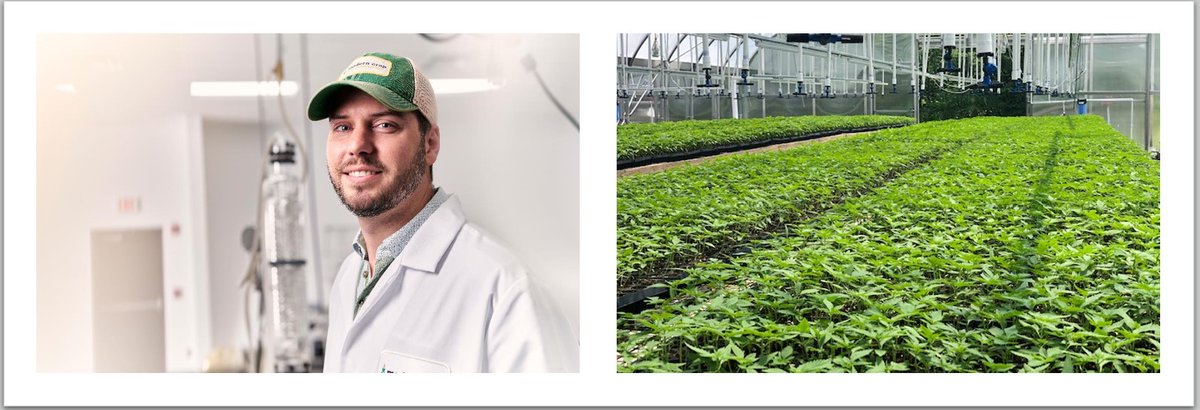 At Modern Crop, every step is done right here, in Stanford, Kentucky.

From seed to research and processing.  Making non-detectable, high-quality, THC-free CBD.  

#hemp #hempindustry #cbdindustry #cbd #farmers #agriculture #quality #hempcommunity #production #science