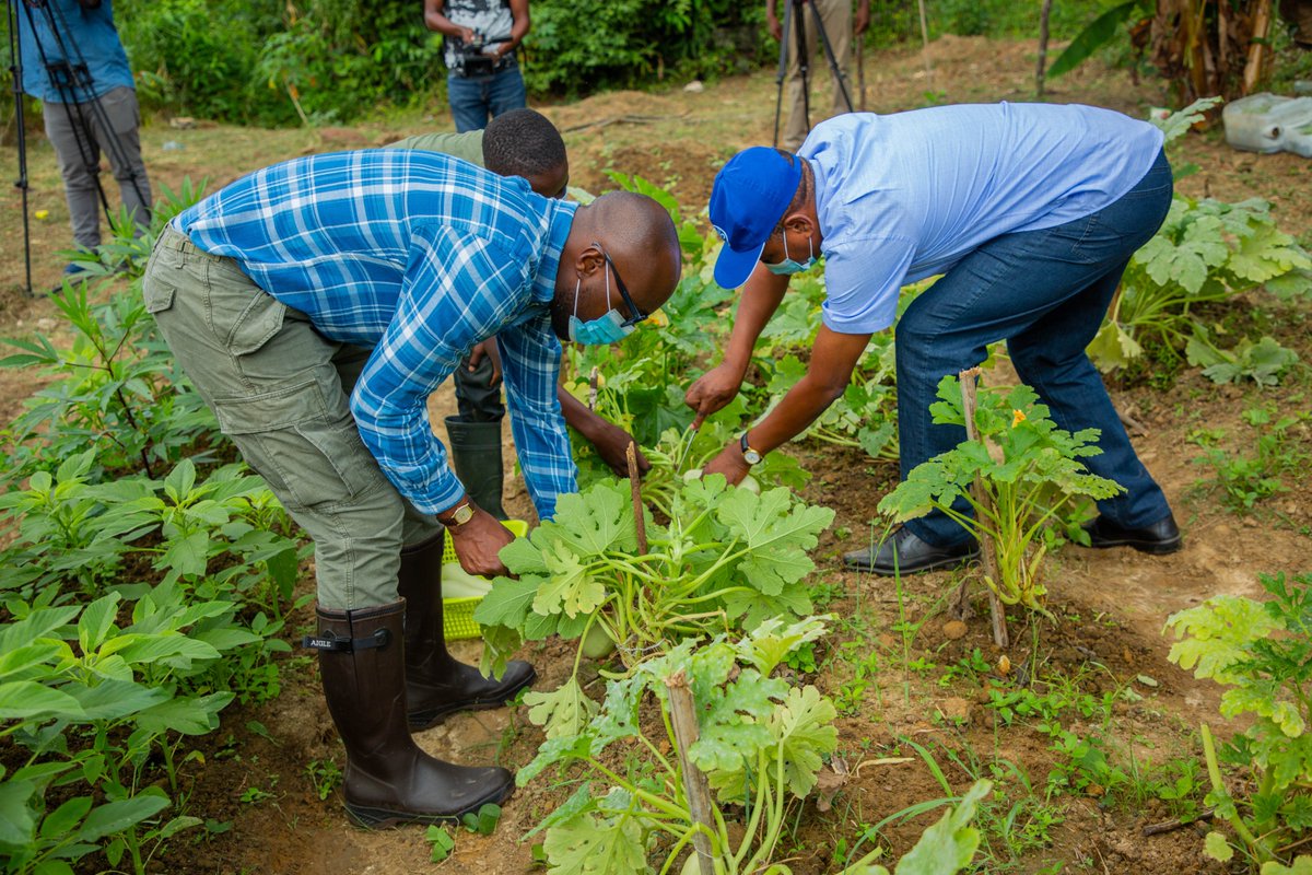 FAO Afrique centrale tweet media