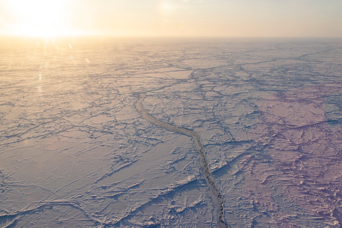 AGU_Cryo's tweet photo. It’s #FieldworkFriday! Today we feature @steven_fons (PhD candidate @UofMaryland). This satellite scientist ventured out to join leg 3 of @MOSAiCArctic, where he drilled sea ice cores, grew a wicked expedition beard, and collected data to help validate @NASA’s ICESat-2 satellite. https://t.co/Vr38tJRuRL