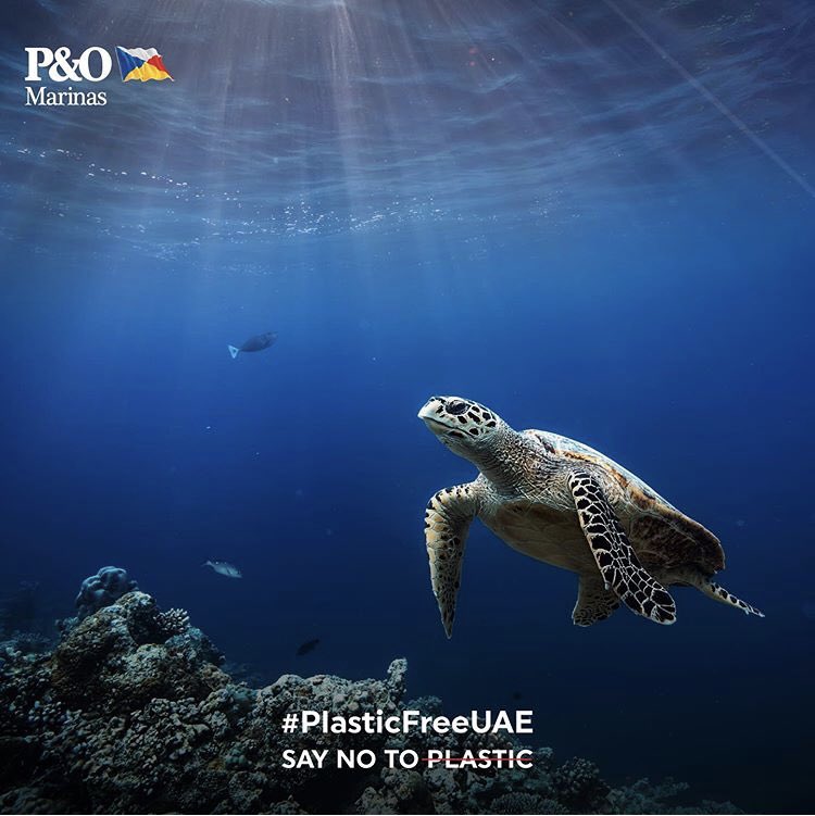 PnO Marinas tweet media