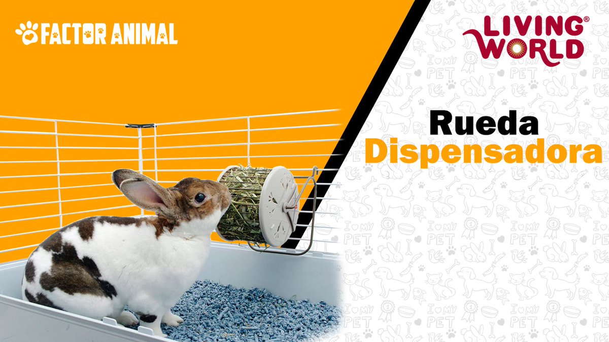 factor_animal's tweet photo. ¿UNA COMIDA DIFERENTE? 🤔

Con la Rueda Dispensadora de #LivingWolrd tendras una manera divertida de comer heno sanamente 😄
Además estimularás también el comportamiento natural de búsqueda de tu #mascota 🐹🐰

Lo que buscas está en #FactorAnimal ⏩ https://t.co/GeYHSn2CoK https://t.co/HnkMpDmb6k