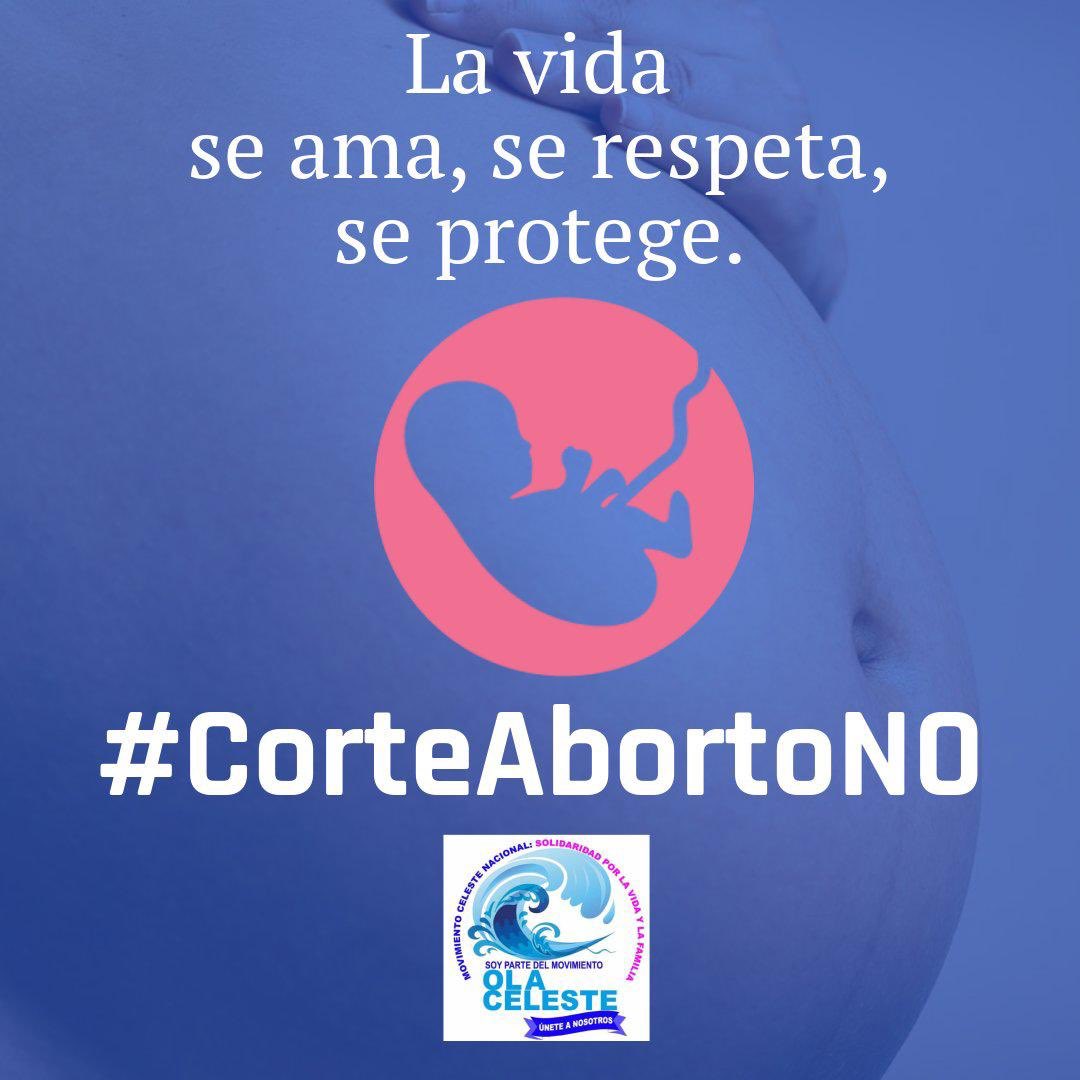 JaimeDuarte's tweet photo. Ministros de la @SCJN 
• Juan Luis González
• Alfredo Gutiérez Ortiz
• Norma Lucía Piña :

En todo México les exigimos respeten la vida humana de los más inocentes y débiles. ¡No despenalicen el aborto!

#CorteAbortoNo 
#MexicoEsProvida 
#SupremaInjusticia https://t.co/2YaQQgQeTN