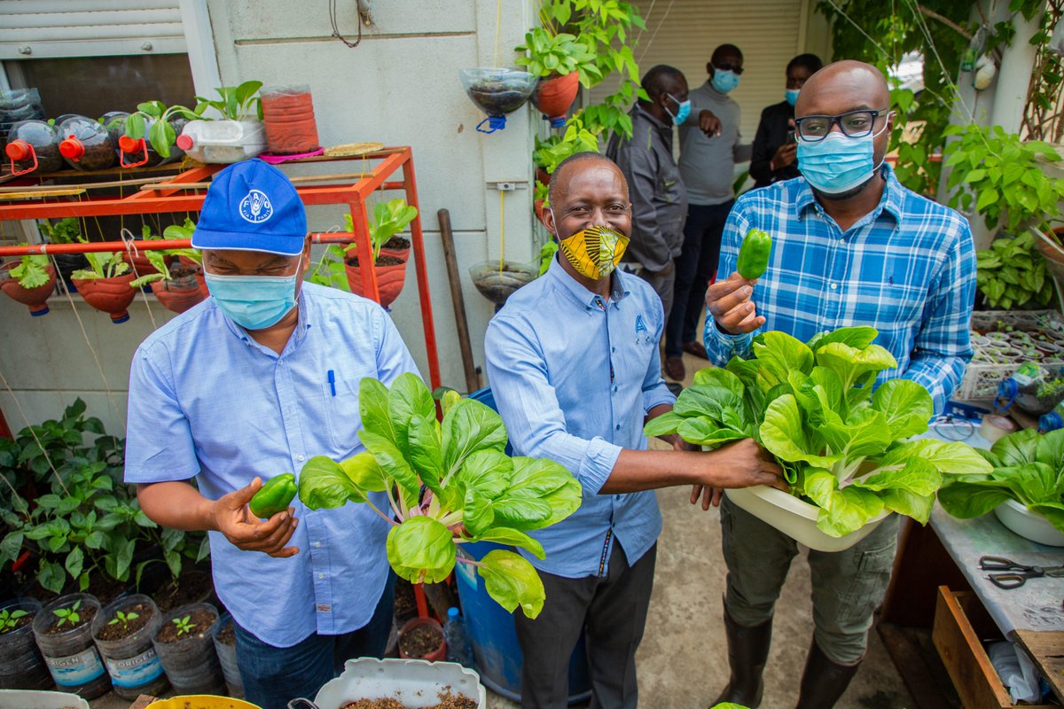 FAO Afrique centrale tweet media