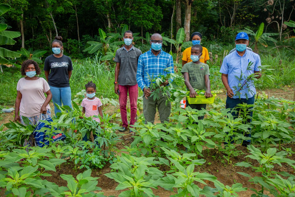 FAO Afrique centrale tweet media