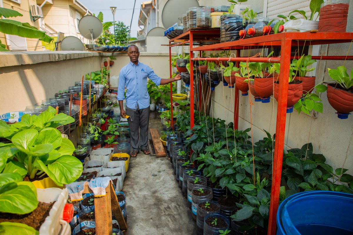 #Gabon-Visite conjointe de terrain du Ministre de l'Agriculture <a href="/biendimaganga/">Biendi Maganga-Moussavou</a> et du Coordonnateur <a href="/FAOAfriqueCent/">FAO Afrique centrale</a>, Hélder Muteia pour la journée des récoltes des "Familles Vertes". A ce jour, plus de 8000 familles ont adhéré à ce programme du maraîchage 👪👨‍🌾🥬🥕🍅à domicile.