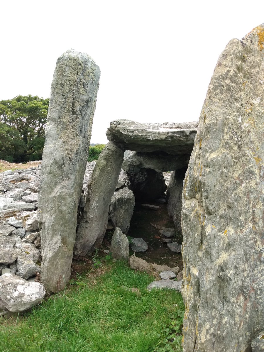 zevonesque's tweet photo. Neolithic burial chamber โ 5500 years old โ at #Trefignath #Anglesey (just across from Holyhead Morrisons). #DailyDeliveryPhoto https://t.co/33C7SXEI9C