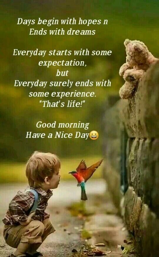 TheFriendIyGuy's tweet photo. Good Morming everyone! 
I trust you will all have an amazing day today. https://t.co/XKVFAtqYdN