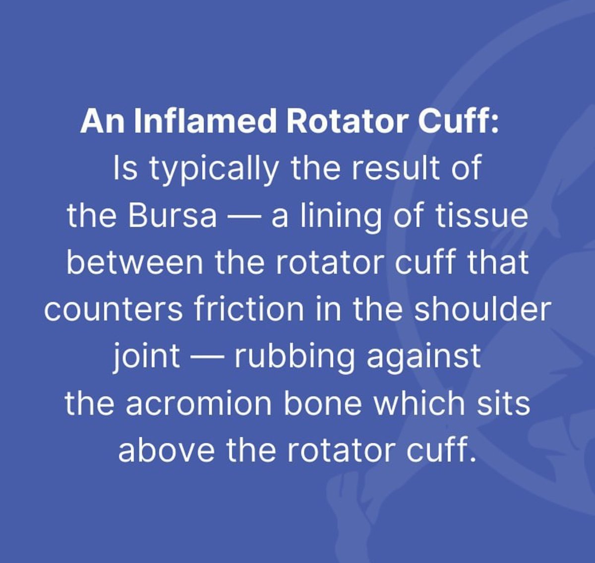 drchrisahmad's tweet photo. So how do you know if you have torn your rotator cuff, or if perhaps you've damaged something else?
https://t.co/7TSvRhgEHI
#shoulderrepair #shoulderinjury #shoulderpain #rotatorcuff #symptoms #shoulderdoc #nyc #inflammation #tear #bursa #acromium #tendinitus #bursitus #pain https://t.co/MUEQg8uEW5