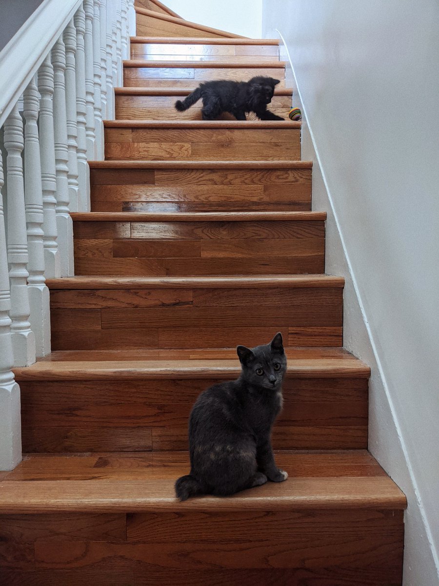 Friday stairs