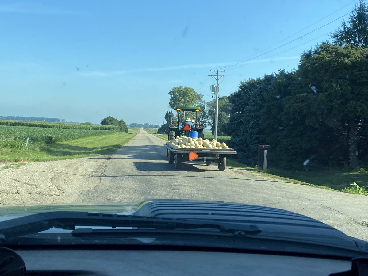 michael_kelly00's tweet photo. Melons picked, signs up, stand loaded! Let the festivities begin! #melonseason #mitchellmelons https://t.co/ae11ShK3NA