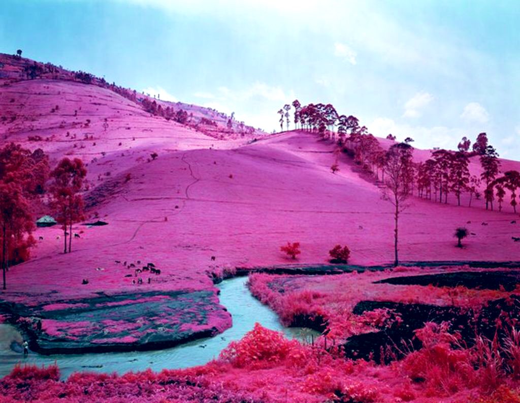 Daniella Shreir tweet media