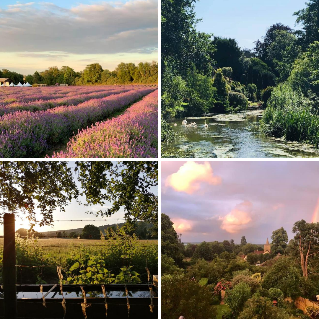 SurreyLife's tweet photo. Voting is open in our latest banner competition where you'll find many more images of #Surrey at summer just as good as these four ☀️

Visit our FB page now to vote >>> https://t.co/ve7Ew4f1Wx https://t.co/cz7nhKY5yv