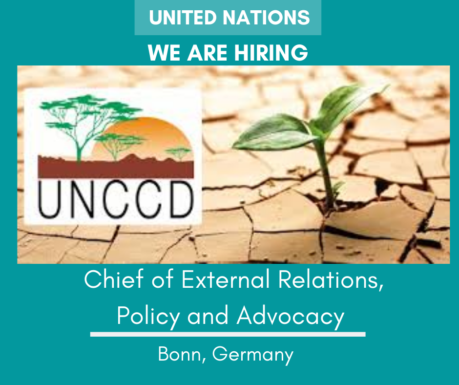UN_Careers's tweet photo. @UNCCD is looking for a senior level candidate with experience in #sustainabledevelopment #policy, and #programme or #project #mmgmt.
10 years relevant experience
Apply by 7 August 2020
Read more and apply https://t.co/vYT1ChPBcJ
#UNTalent #opportunities https://t.co/cWGyoQvxLS