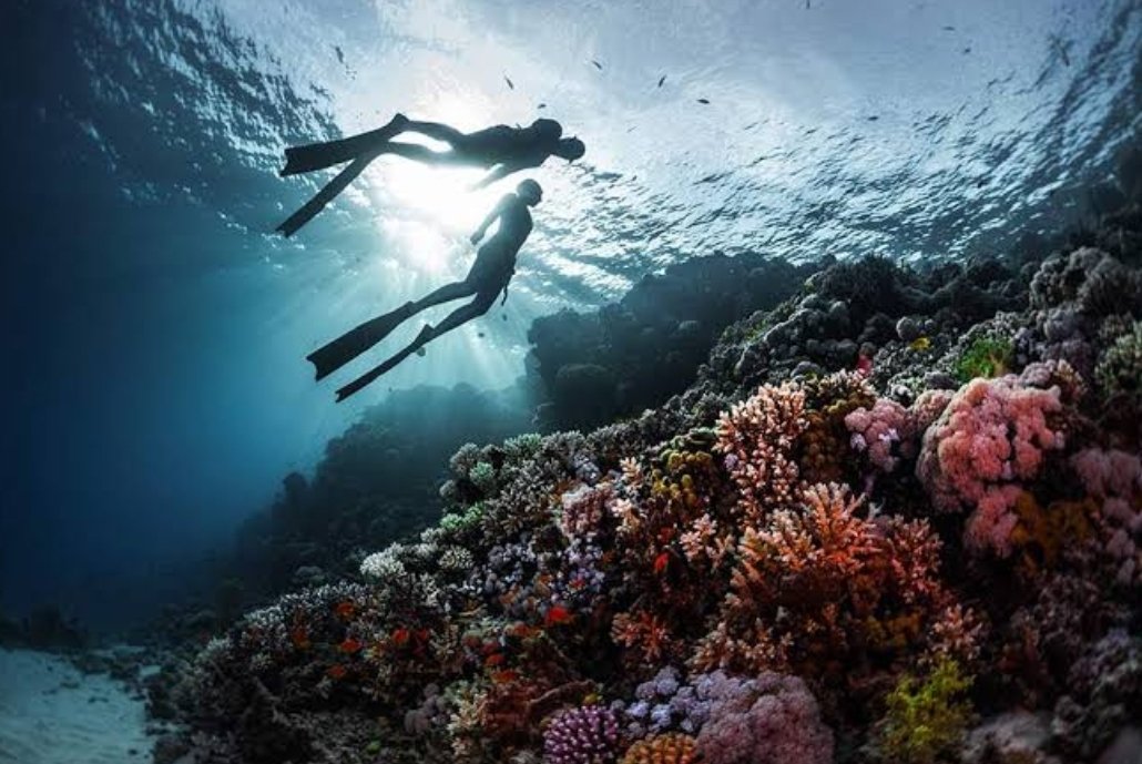 pachydermtales's tweet photo. #thewriter : my mind was filled with a thousand beautiful thoughts!

#thepoet : inside my head was a sea-bed, filled with a thousand colorful corals!

Our minds absolutely love imagery! How wud u describe the same!?!
#WritingCommunity #writersoftwitter #writerchallenge #innerpoet https://t.co/ViL4iO6tOZ