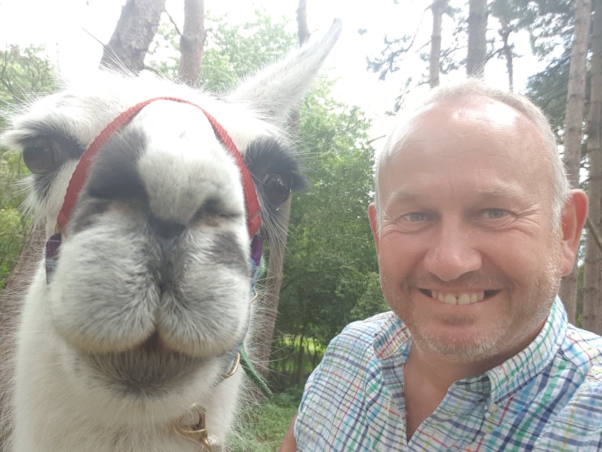 SpencerGI's tweet photo. Fabulous visit to https://t.co/ba7juSEzio #NorfolkLammas highly recommended #Lamas #NorfolkHolidays @NorthNorfolk @NorfolkTour https://t.co/a4zPp0xcQJ