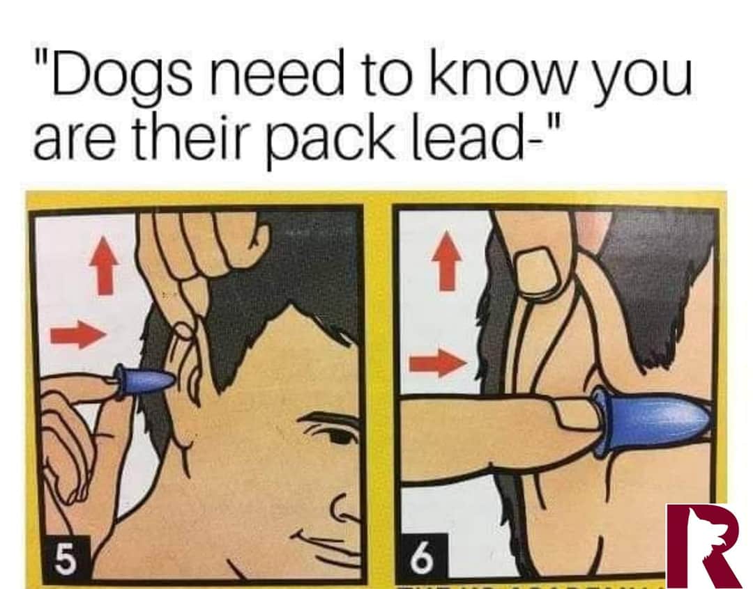 makes no sense. Dominance theory is repeatedly disproven, including by the person who initially coined it. You already control when they eat, sleep, learn, exercise and more, why would you need to bully them into submission? (ego, lack of skill, or miseducation is the answer)