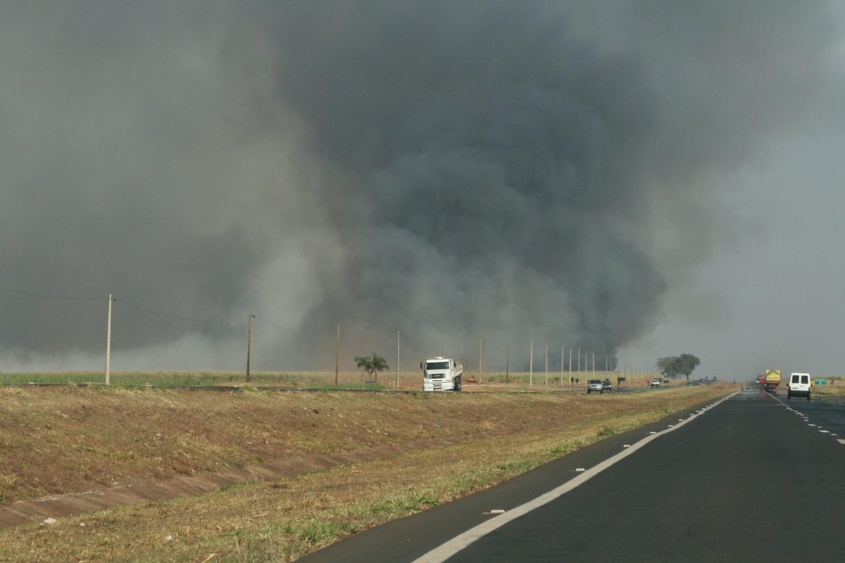 Ruberg  Gerrie tweet media