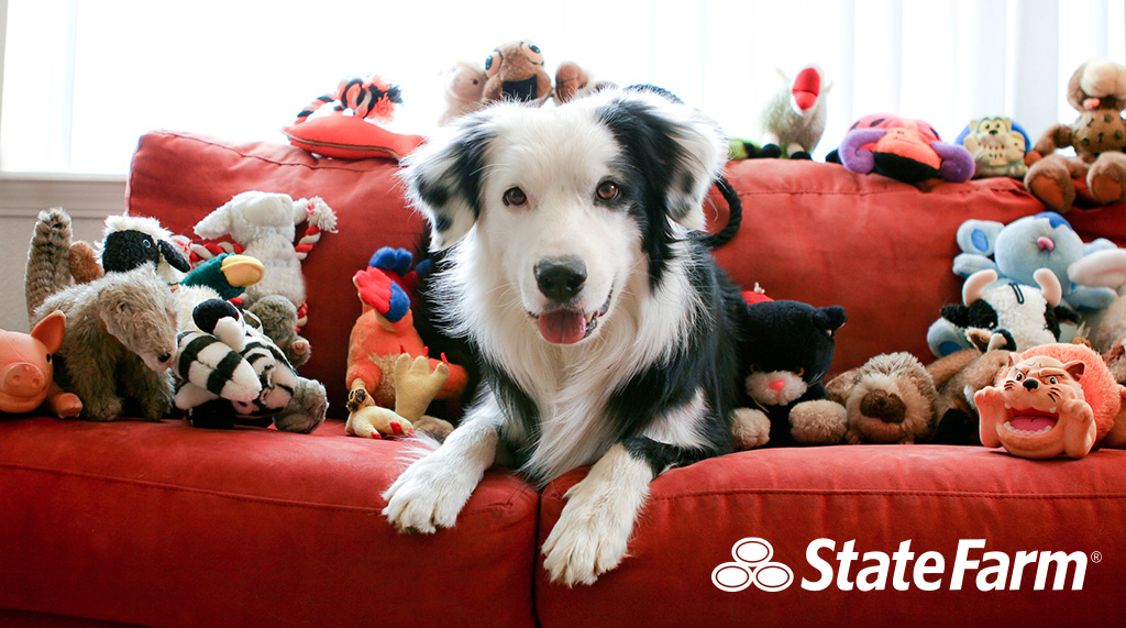 AB_StateFarm's tweet image. Pet owners too often find themselves wondering how they will pay for their dog or cat’s unexpected illness or injury. @StateFarm and @Trupanion are working together to offer pet insurance to help with unexpected vet bills. Call me or visit statefarm.com/insurance/pet to learn more.