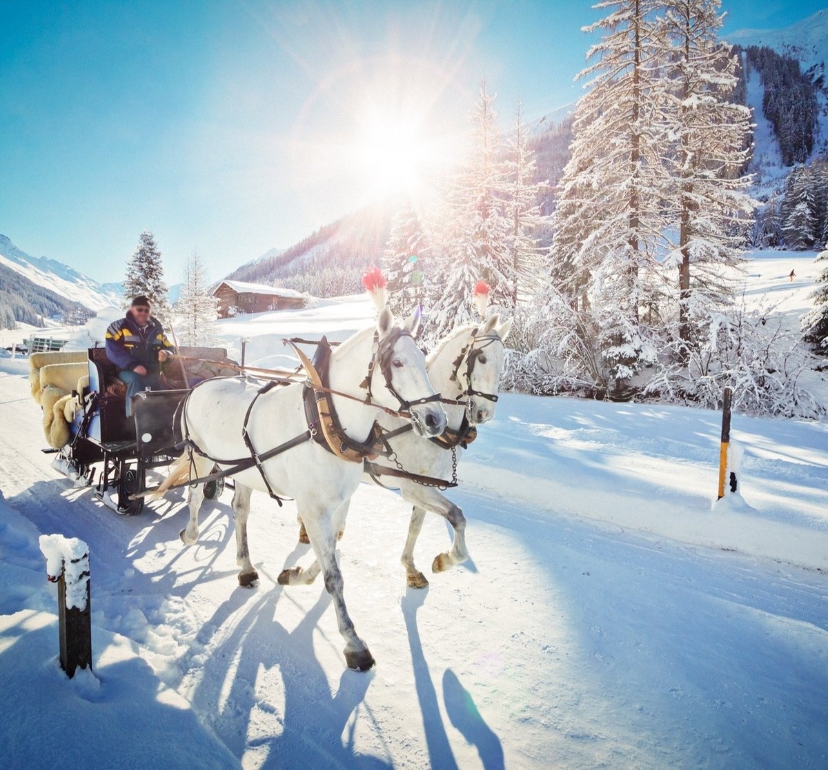 ErnaLow Ski Holidays tweet media