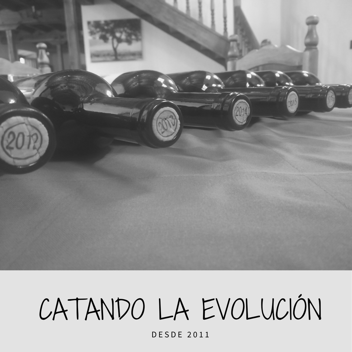 BodegasCalarHoy's tweet photo. Nada mas emocionante que ver la evolución de nuestros vinos. El conocimiento del terruño, la incorporación de tecnología y nuestra pasión por el vino, deleitan el paladar. #vino #terruño #winelovers #wine #redwine #viticultura https://t.co/l0fjg31BWE